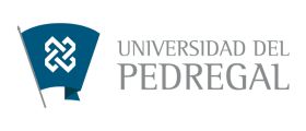 Universidad del Pedregal