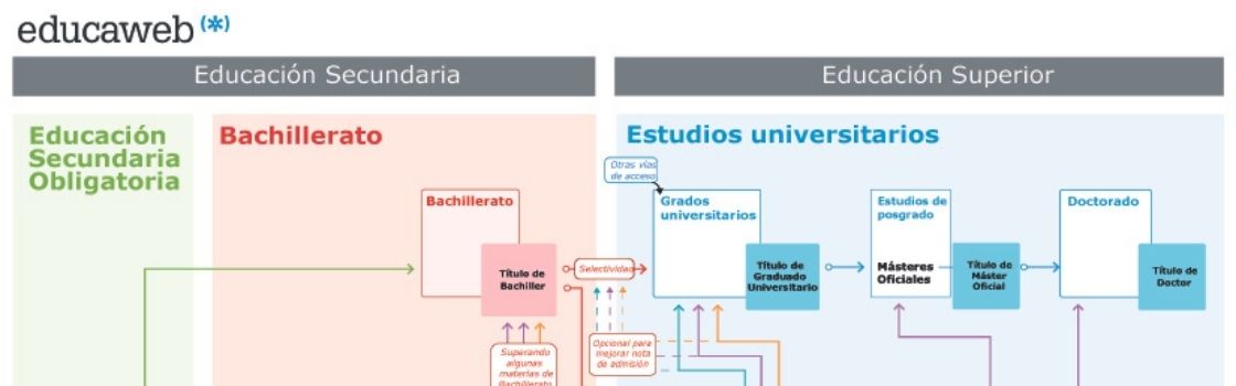 Conoce a fondo los diferentes itinerarios del sistema educativo con la nueva  infografía de Educaweb 